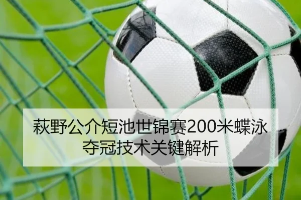 萩野公介短池世锦赛200米蝶泳夺冠技术关键解析